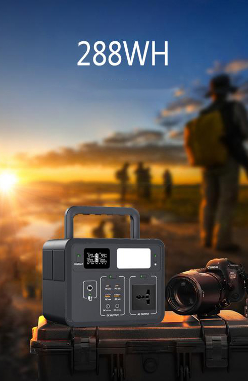 X300-003.jpg